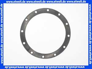 7810167 Viessmann Dichtung 218 x 270 x 3 FMPX 8290 für VertiCell-Frical