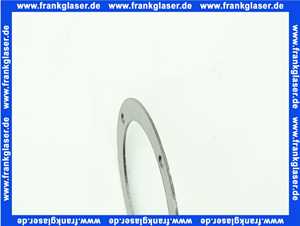 7810656 Viessmann Graphitdichtung