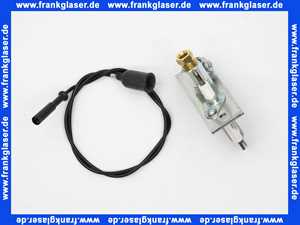 7813051 Viessmann Zündbrenner