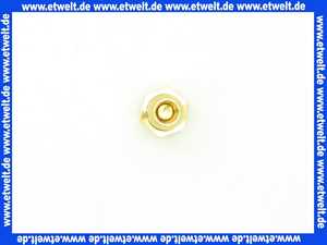 7814676 Viessmann Gasdruck-Messnippel R 1/8
