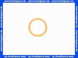 7814975 Viessmann Dichtung R 1 1/4 Zoll Trinkwasserfilter
