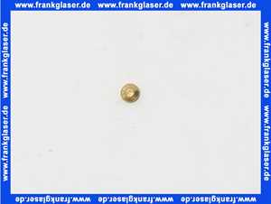 7815264 Viessmann Zündbrennerdüse Typ 24 FLG Polidoro für Flüssiggas