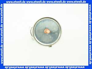 7815525 Viessmann Brennerstab RV-29 kW Polydoro