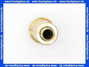 7815534 Viessmann Schnellentlüfter G3/8 ohne Absperrung