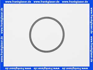 7815716 Viessmann Pumpendichtung