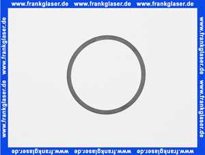 7815716 Viessmann Pumpendichtung