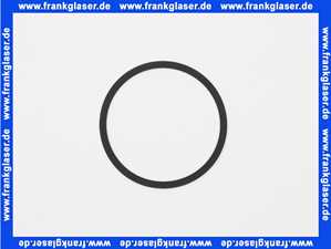 7815825 Viessmann Beipack Dichtringe