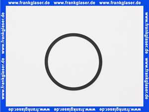 7815825 Viessmann Beipack Dichtringe