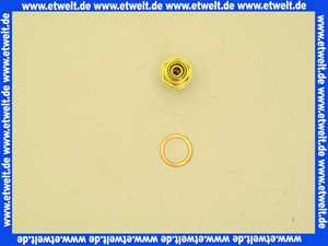 7817173 Viessmann Rückbrandsicherung