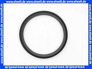 7818678 Viessmann Lippendichtung D=70