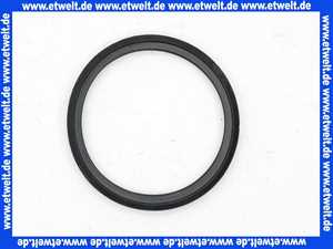7818678 Viessmann Lippendichtung D=70