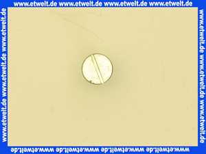 7820439 Viessmann Ansatzschraube M6 x 21,5