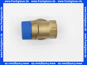 7822048 Viessmann Sicherheitsventil 3/4 Zoll x 1 Zoll 10bar