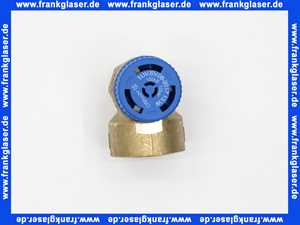 7822048 Viessmann Sicherheitsventil 3/4 Zoll x 1 Zoll 10bar