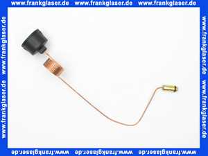 7822739 Viessmann Manometer mit Kapillar 0-4 bar