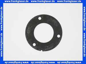 7826503 Viessmann Flammkörperdichtung