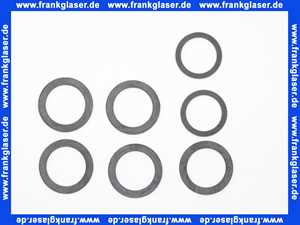 7826550 Viessmann Dichtungssatz
