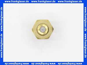 7832338 Viessmann Düse 5,00 Gph 60° B Delavan