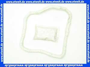 7832975 Viessmann Runddichtung