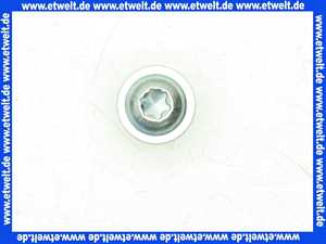 7844909 Viessmann Brennerschraube 1 Stück