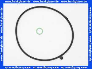 Viessmann Brennertürdichtung GCM32 CHE