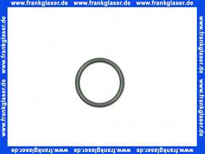 Viessmann O-Ring 32,0 x 2,0 Typ 281 DN 20 u. DN 25