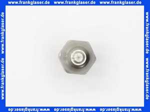 9517494 Viessmann Brennerdüse Öldüse Heizöldüse Düse 3,50 Gph 60° S Steinen