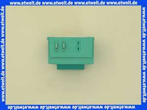 Viessmann Zündgerät DCZ 2/24 (Impulszündeinheit)