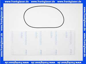 15133426192 Weishaupt Filtereinsatz-Set WF 3150/1 bestehend aus: Filtereinsatz und O-Ring