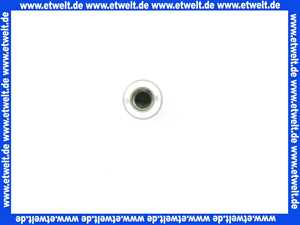 21870414197 Weishaupt Stehbolzen M8 X 185 RGL70/2-LN