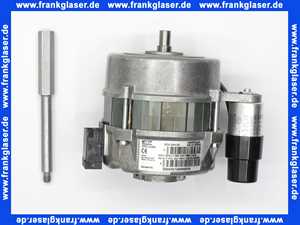 23005008012 Weishaupt Motor ECK02/H-2/1 230V 50Hz mit Stehbolzen WG5