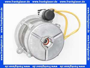 24031007032 Weishaupt Motor ECK05/A-2 230V 50Hz WL30, WG30 Kl.F IP21 mit Kondensator und Kabel