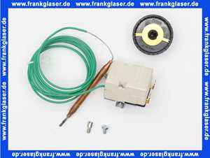 40211022202 Weishaupt Temperaturregler RAK53.4/3521