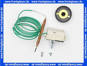 40211022202 Weishaupt Temperaturregler RAK53.4/3521