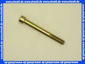 402716 Weishaupt Schraube M12 x 110 DIN 912 8.8 A3G