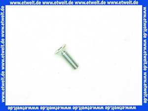 404311 Weishaupt Schraube M6 x 20 DIN 7991 8.8