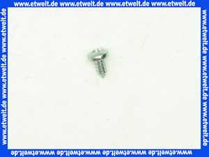 409113 Weishaupt Schraube 4,8 x 9,5 -C-Z DIN 7981 St