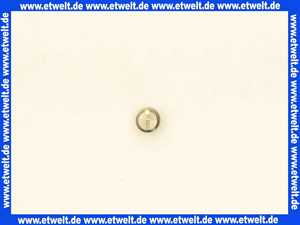 420444 Weishaupt Gewindestift M4 x 4 DIN EN 24766-A1