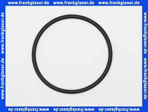 445161 Weishaupt O-Ring 110 x 3 für Filtertyp 80/20/16 und 80/50/16, Werkstoff NBR