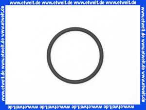 445176 Weishaupt O-Ring 31 x 2,5 EPDM 70
