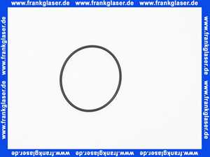 445517 Weishaupt O-Ring 27 X 1,5 Zündgasflansch G 3/4 und Deckel seitlich DMV 5040 bis 5125