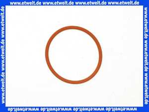 46201130217 Weishaupt O-Ring 53,57 x 3,53 für Heizölfilter- Entlüfterkombination GS PROFI 3