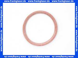 48000001507 Weishaupt Lippendichtung DN 70