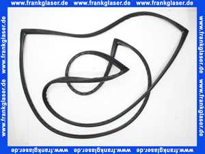 48002000037 Weishaupt Glashaltedichtung Rahmen WTS-F1