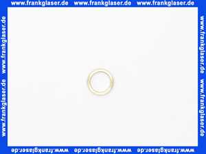 48101140287 Weishaupt Stützring für Montageventil-Manometer WTC-A