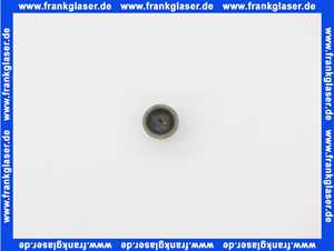 48101140317 Weishaupt Kappe für Siphon WBM-S/G-B