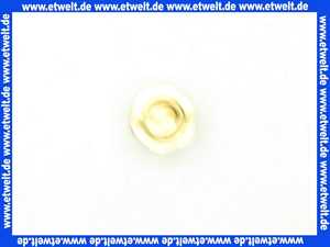 48121130737 Weishaupt Düse G20 D = 3,1