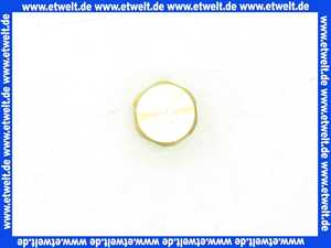 48121130737 Weishaupt Düse G20 D = 3,1