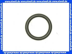 48121140107 Weishaupt O-Ring Dichtung Pumpenverschraubung