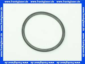 48140130137 Weishaupt Dichtung DN 80 für Abgaskanal oben